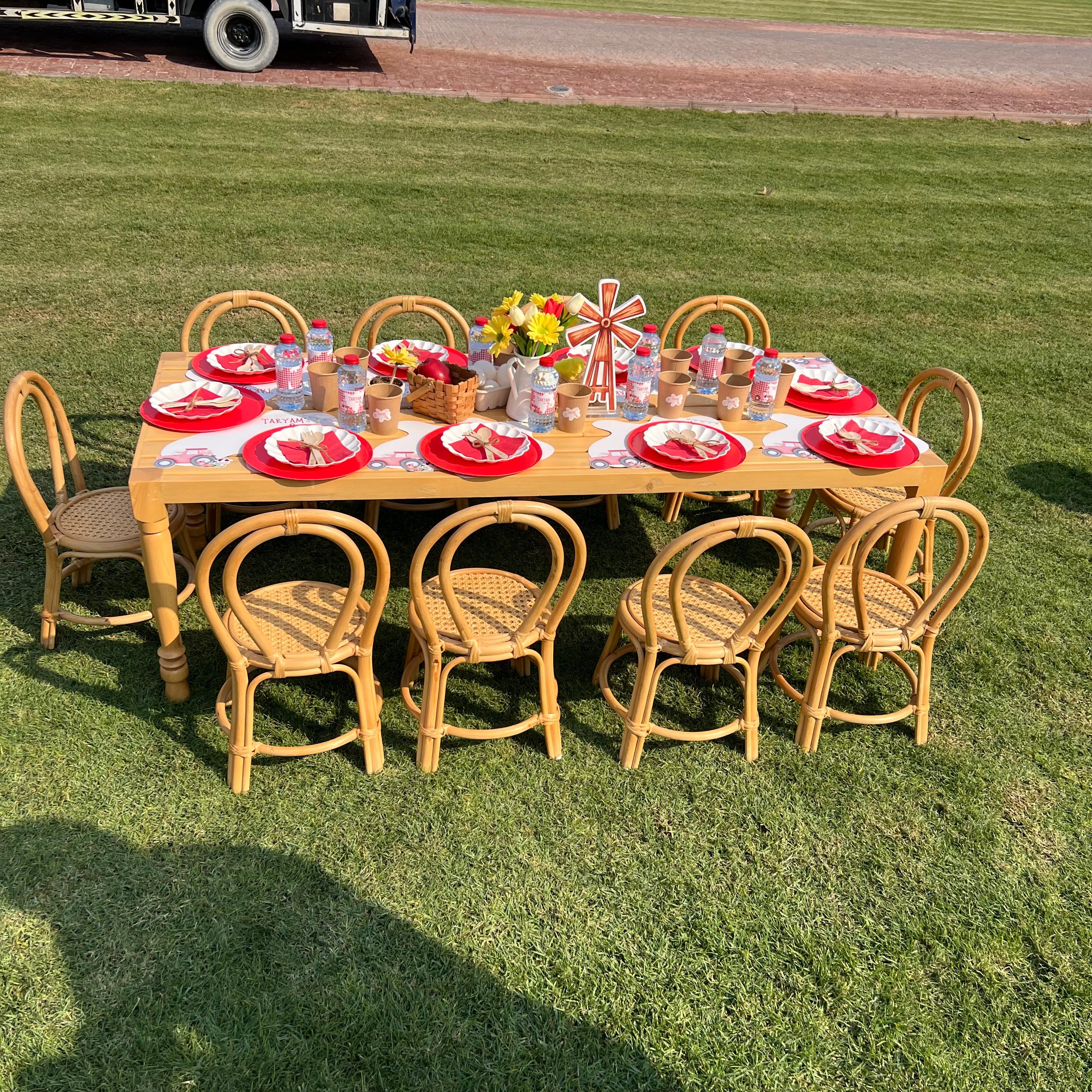 Party Rentals for Children Events in Dubai Celebration Experience