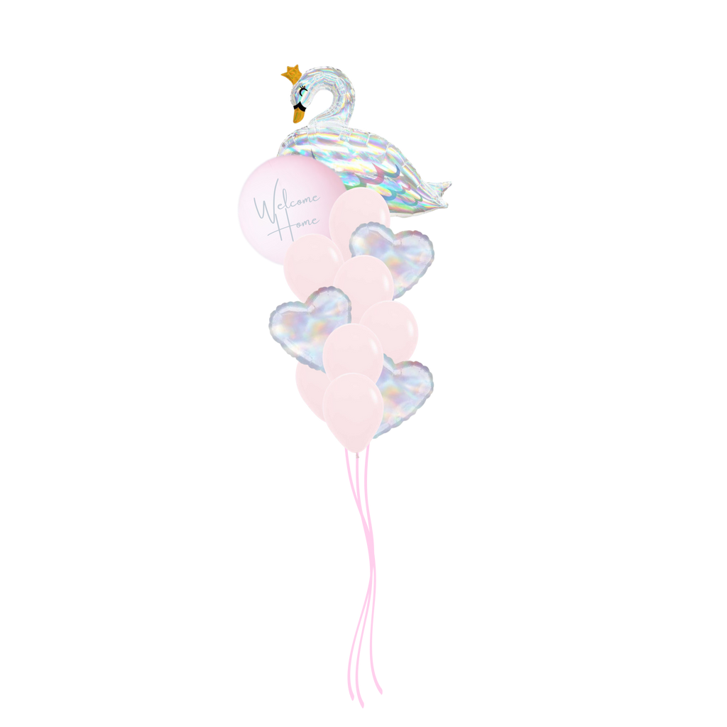 Swan Princess