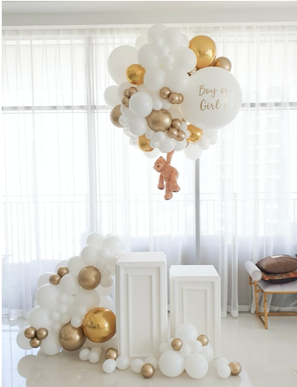 Beary Gender Reveal
