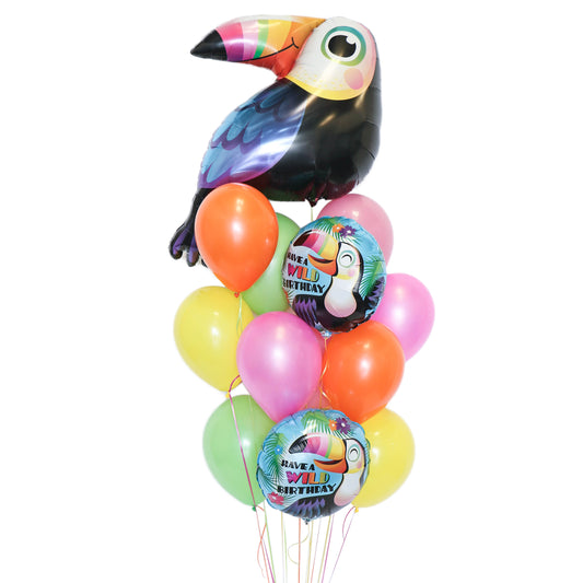 Wild Toucan