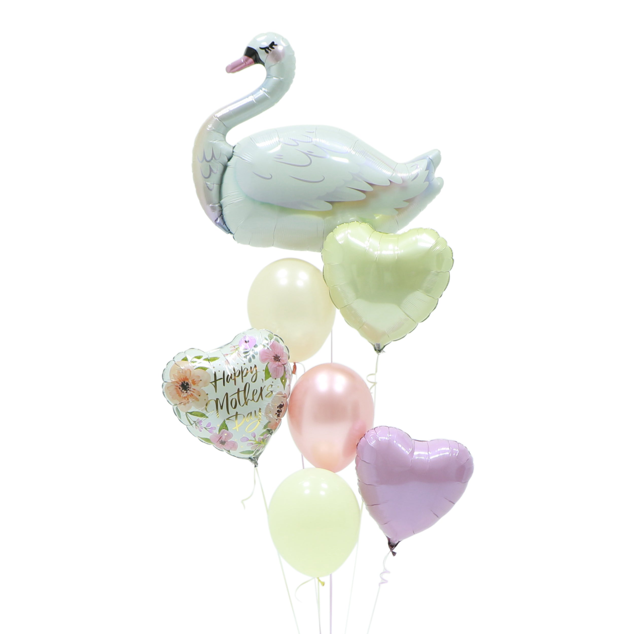 Elegant Swan